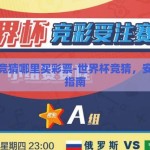 世界杯竞猜哪里买彩票-世界杯竞猜，安全购彩指南