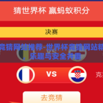 世界杯竞猜网站推荐-世界杯竞猜网站精选指南，乐趣与安全并重