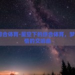 星空·综合体育-星空下的综合体育，梦想与激情的交响曲