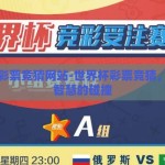 世界杯彩票竞猜网站-世界杯彩票竞猜，激情与智慧的碰撞