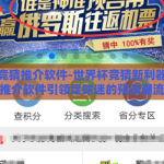世界杯竞猜推介软件-世界杯竞猜新利器，智能推介软件引领足球迷的预测潮流
