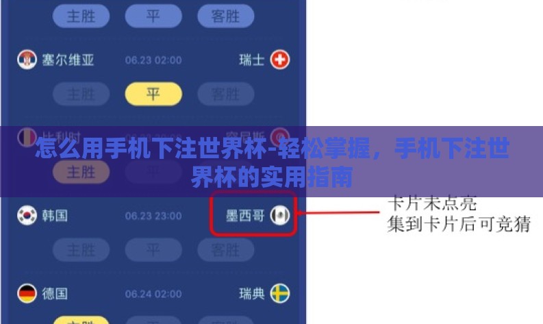 怎么用手机下注世界杯-轻松掌握,手机下注世界杯的实用指南 怎么用手机下注世界杯-轻松掌握,手机下注世界杯的实用指南