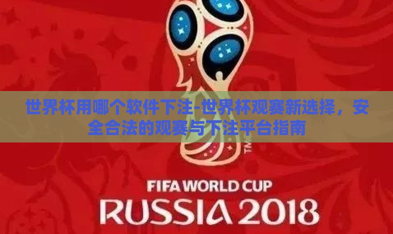 世界杯用哪个软件下注-世界杯观赛新选择，安全合法的观赛与下注平台指南