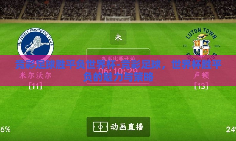 竞彩足球胜平负世界杯-竞彩足球，世界杯胜平负的魅力与策略