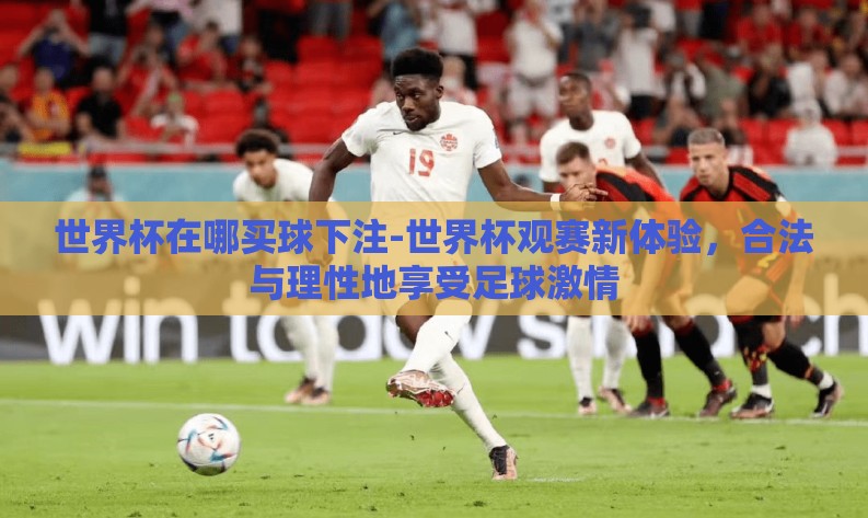 世界杯在哪买球下注-世界杯观赛新体验,合法与理性地享受足球激情 世界杯在哪买球下注-世界杯观赛新体验,合法与理性地享受足球激情