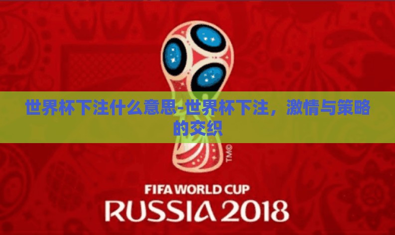 世界杯下注什么意思-世界杯下注,激情与策略的交织 世界杯下注什么意思-世界杯下注,激情与策略的交织