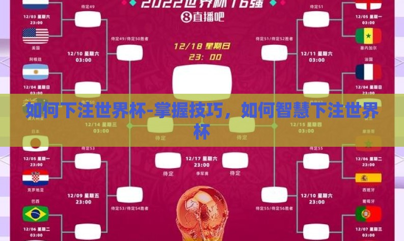 如何下注世界杯-掌握技巧，如何智慧下注世界杯