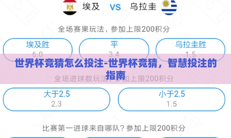 世界杯竞猜怎么投注-世界杯竞猜,智慧投注的指南 世界杯竞猜怎么投注-世界杯竞猜,智慧投注的指南