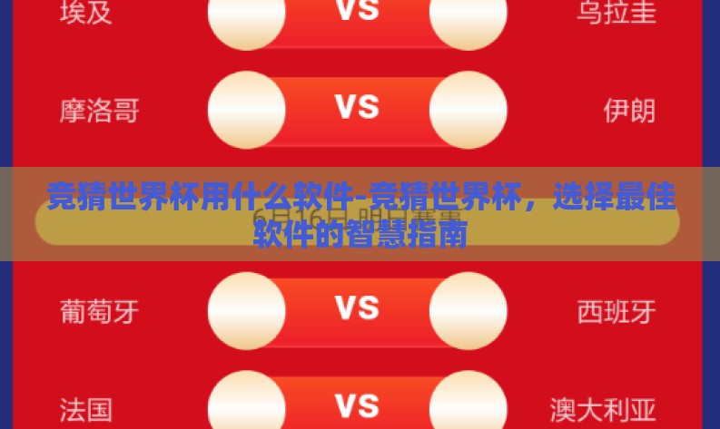 竞猜世界杯用什么软件-竞猜世界杯，选择最佳软件的智慧指南