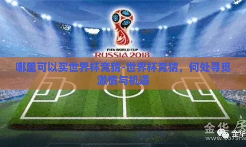 哪里可以买世界杯竞猜-世界杯竞猜,何处寻觅激情与机遇 哪里可以买世界杯竞猜-世界杯竞猜,何处寻觅激情与机遇