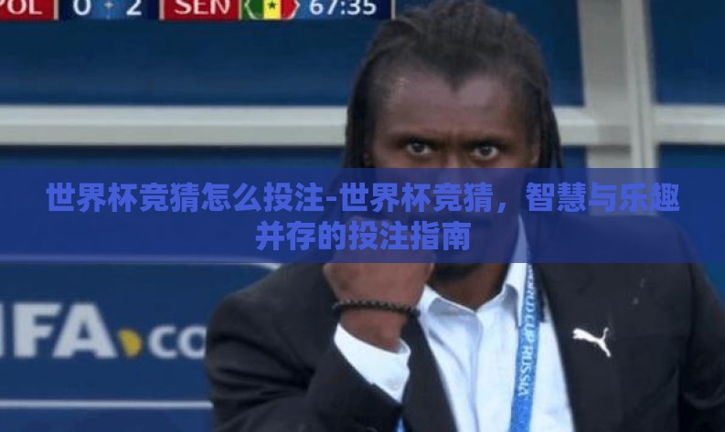 世界杯竞猜怎么投注-世界杯竞猜，智慧与乐趣并存的投注指南