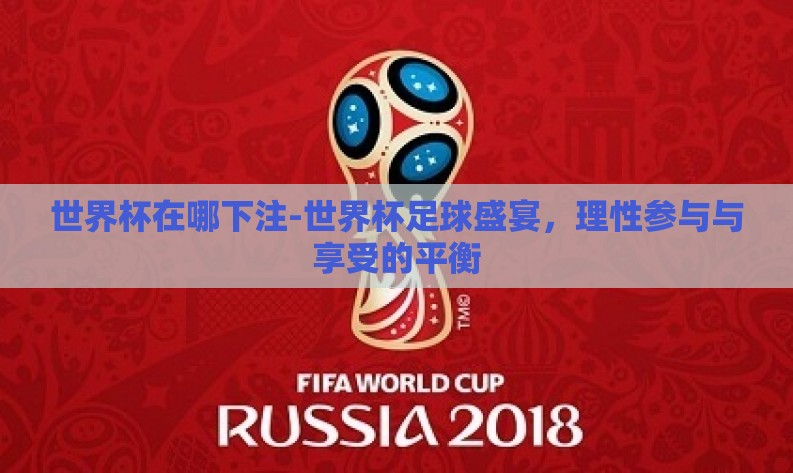 世界杯在哪下注-世界杯足球盛宴，理性参与与享受的平衡