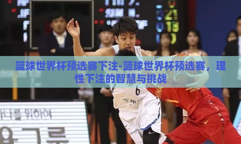 篮球世界杯预选赛下注-篮球世界杯预选赛，理性下注的智慧与挑战