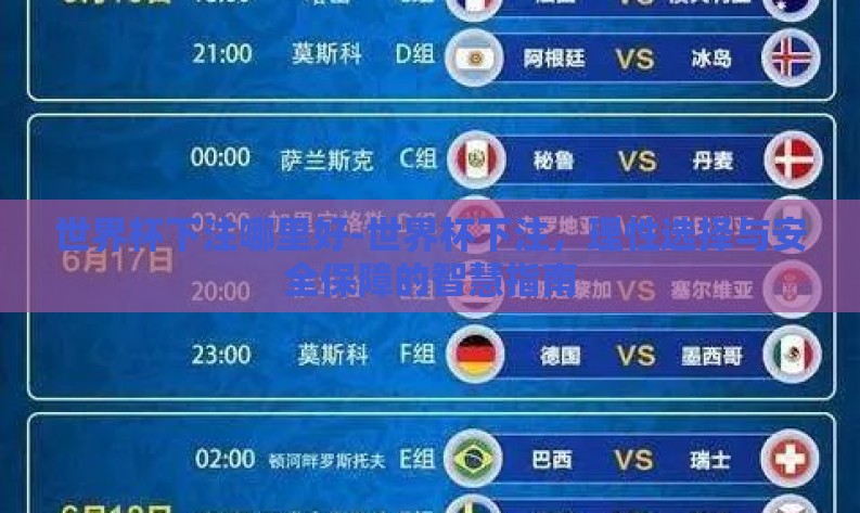 世界杯下注哪里好-世界杯下注，理性选择与安全保障的智慧指南