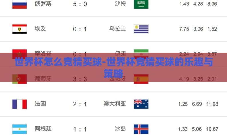 世界杯怎么竞猜买球-世界杯竞猜买球的乐趣与策略