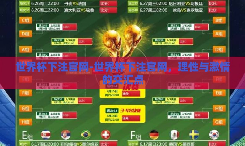 世界杯下注官网-世界杯下注官网，理性与激情的交汇点