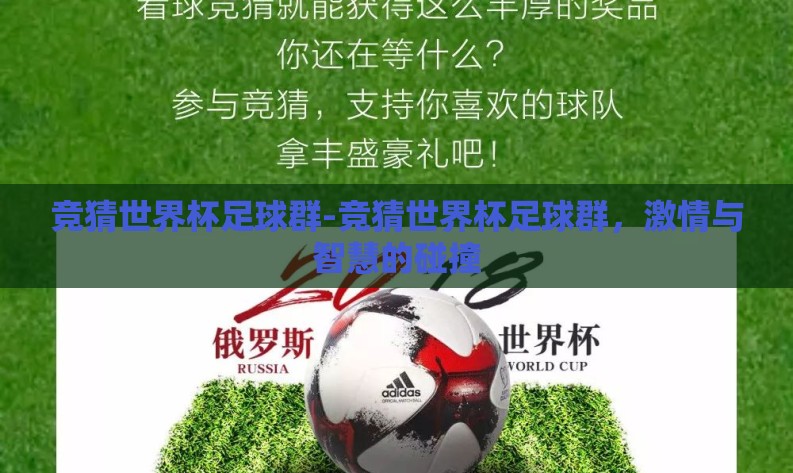 竞猜世界杯足球群-竞猜世界杯足球群，激情与智慧的碰撞