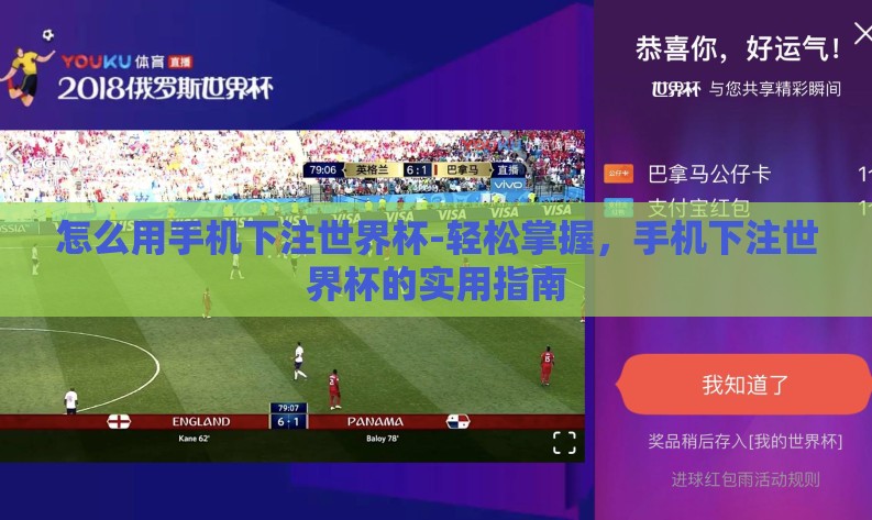 怎么用手机下注世界杯-轻松掌握，手机下注世界杯的实用指南