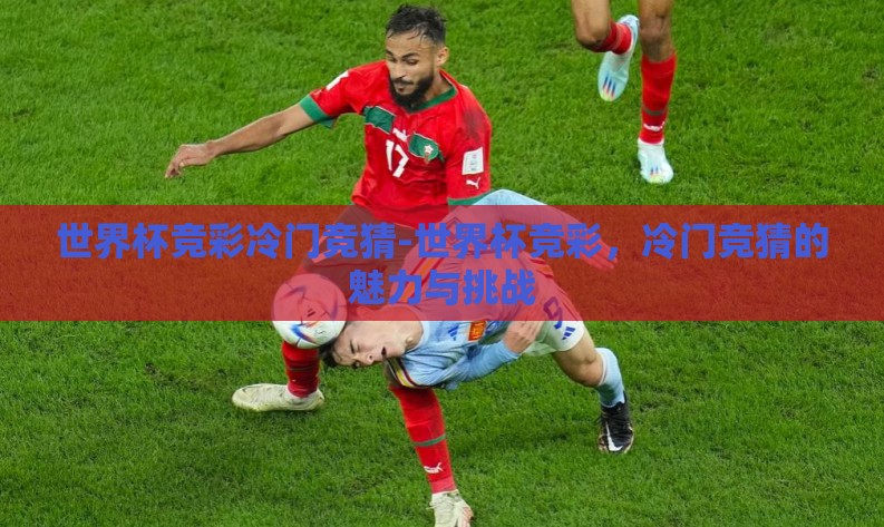 世界杯竞彩冷门竞猜-世界杯竞彩，冷门竞猜的魅力与挑战