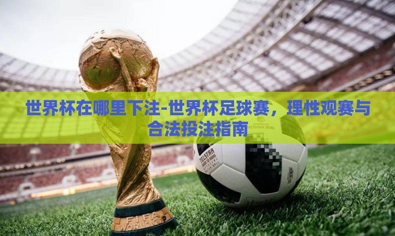 世界杯在哪里下注-世界杯足球赛，理性观赛与合法投注指南