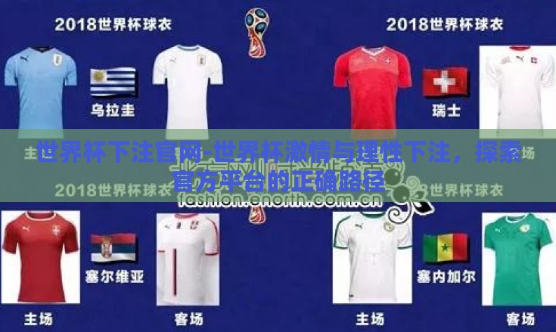 世界杯下注官网-世界杯激情与理性下注，探索官方平台的正确路径