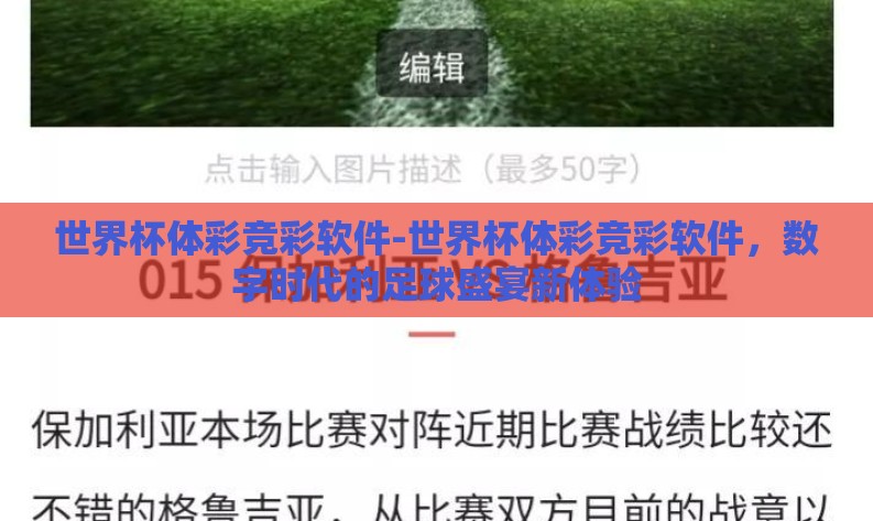 世界杯体彩竞彩软件-世界杯体彩竞彩软件，数字时代的足球盛宴新体验