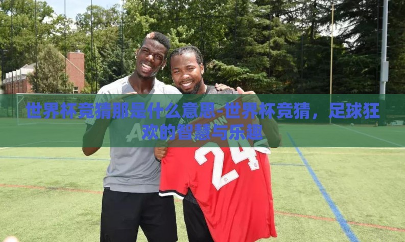世界杯竞猜那是什么意思-世界杯竞猜，足球狂欢的智慧与乐趣