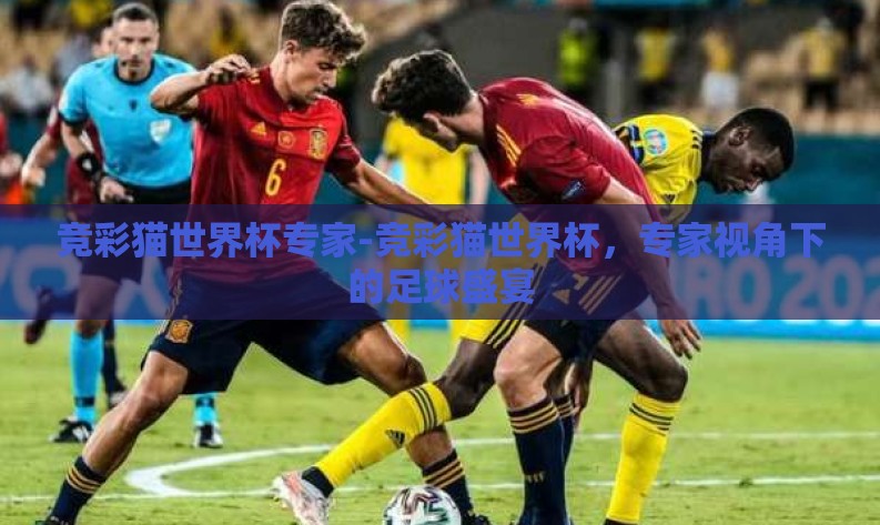 竞彩猫世界杯专家-竞彩猫世界杯，专家视角下的足球盛宴