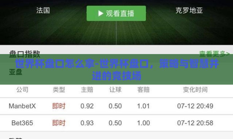 世界杯盘口怎么拿-世界杯盘口，策略与智慧并进的竞技场