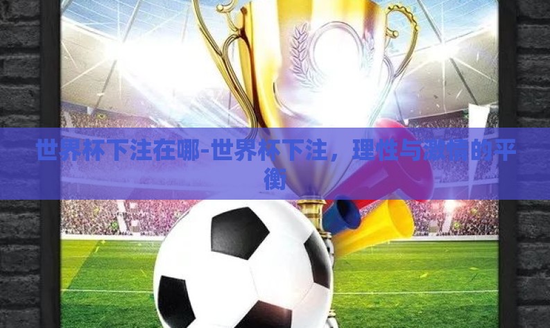 世界杯下注在哪-世界杯下注，理性与激情的平衡