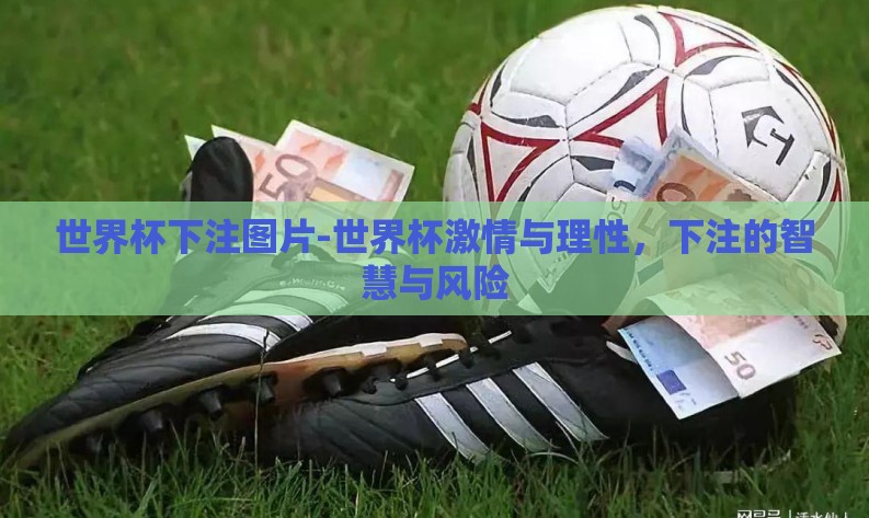 世界杯下注图片-世界杯激情与理性，下注的智慧与风险