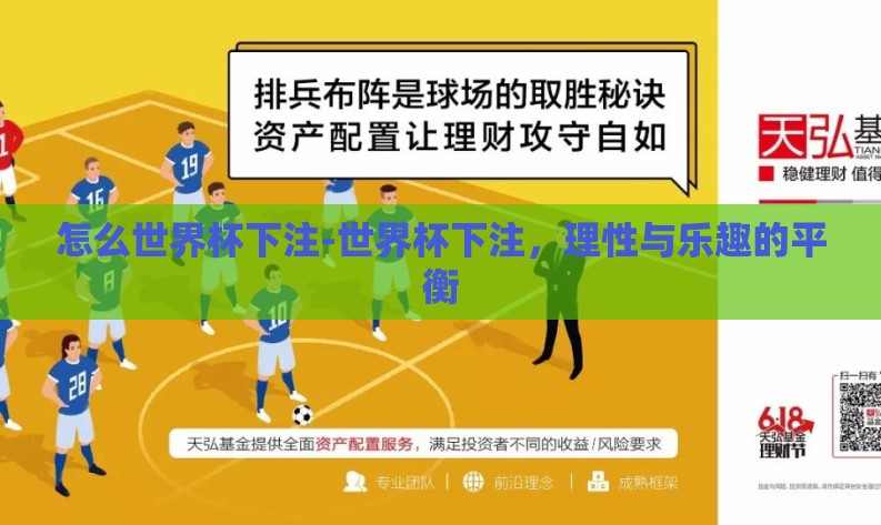 怎么世界杯下注-世界杯下注，理性与乐趣的平衡