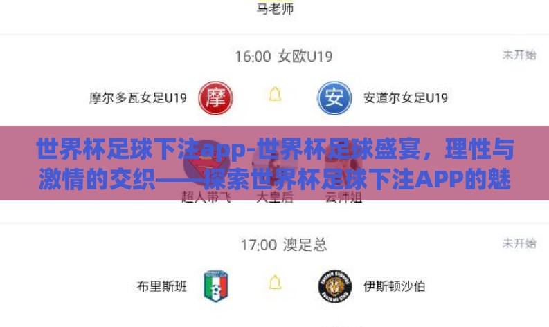 世界杯足球下注app-世界杯足球盛宴，理性与激情的交织——探索世界杯足球下注APP的魅力与风险