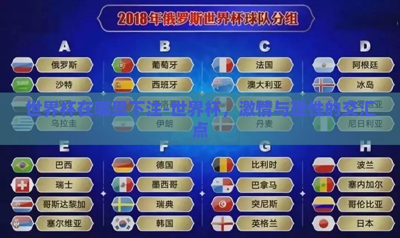 世界杯在哪里下注-世界杯，激情与理性的交汇点