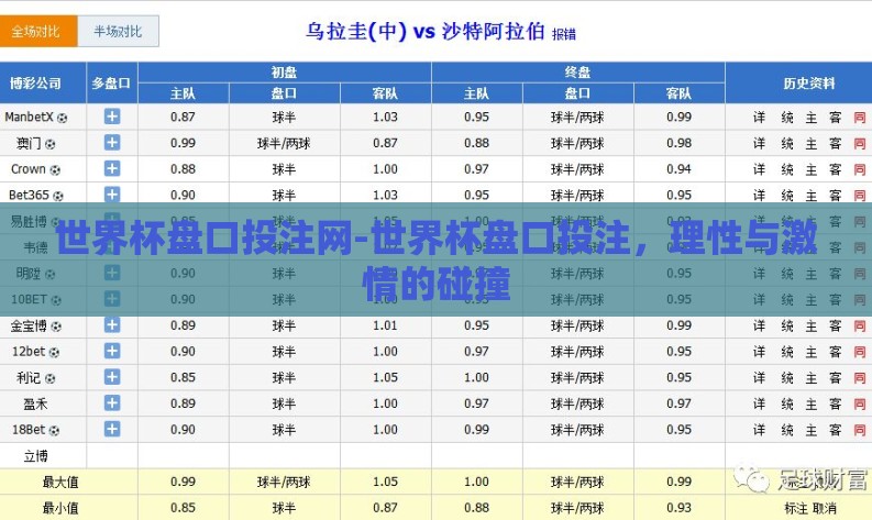 世界杯盘口投注网-世界杯盘口投注，理性与激情的碰撞