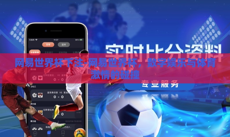网易世界杯下注-网易世界杯，数字娱乐与体育激情的碰撞