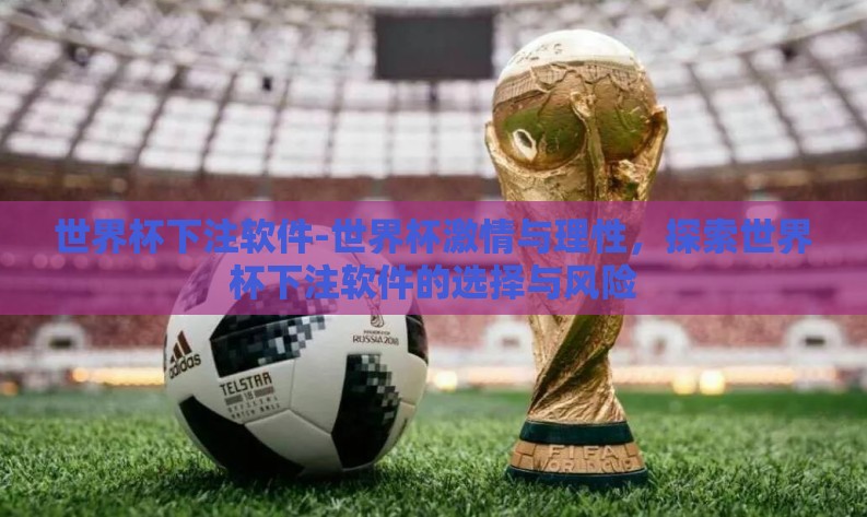世界杯下注软件-世界杯激情与理性,探索世界杯下注软件的选择与风险 世界杯下注软件-世界杯激情与理性,探索世界杯下注软件的选择与风险