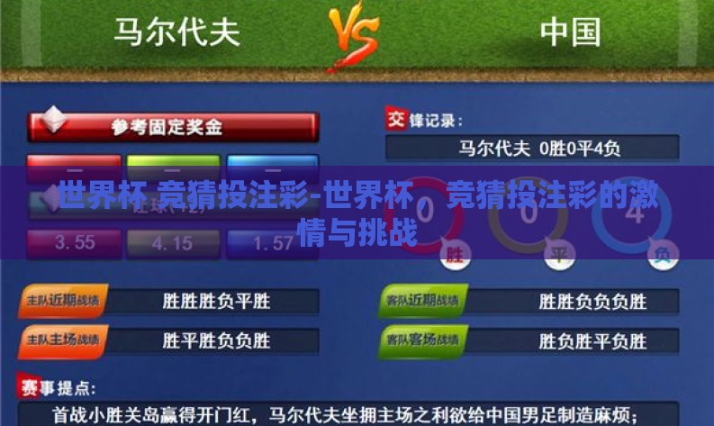 世界杯 竞猜投注彩-世界杯，竞猜投注彩的激情与挑战